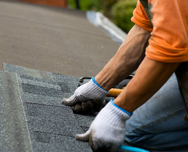 Professional Roofing Contractor in Afton, MN